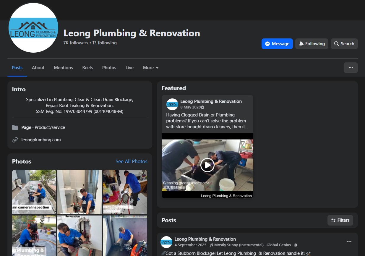 Facebook Page Preview